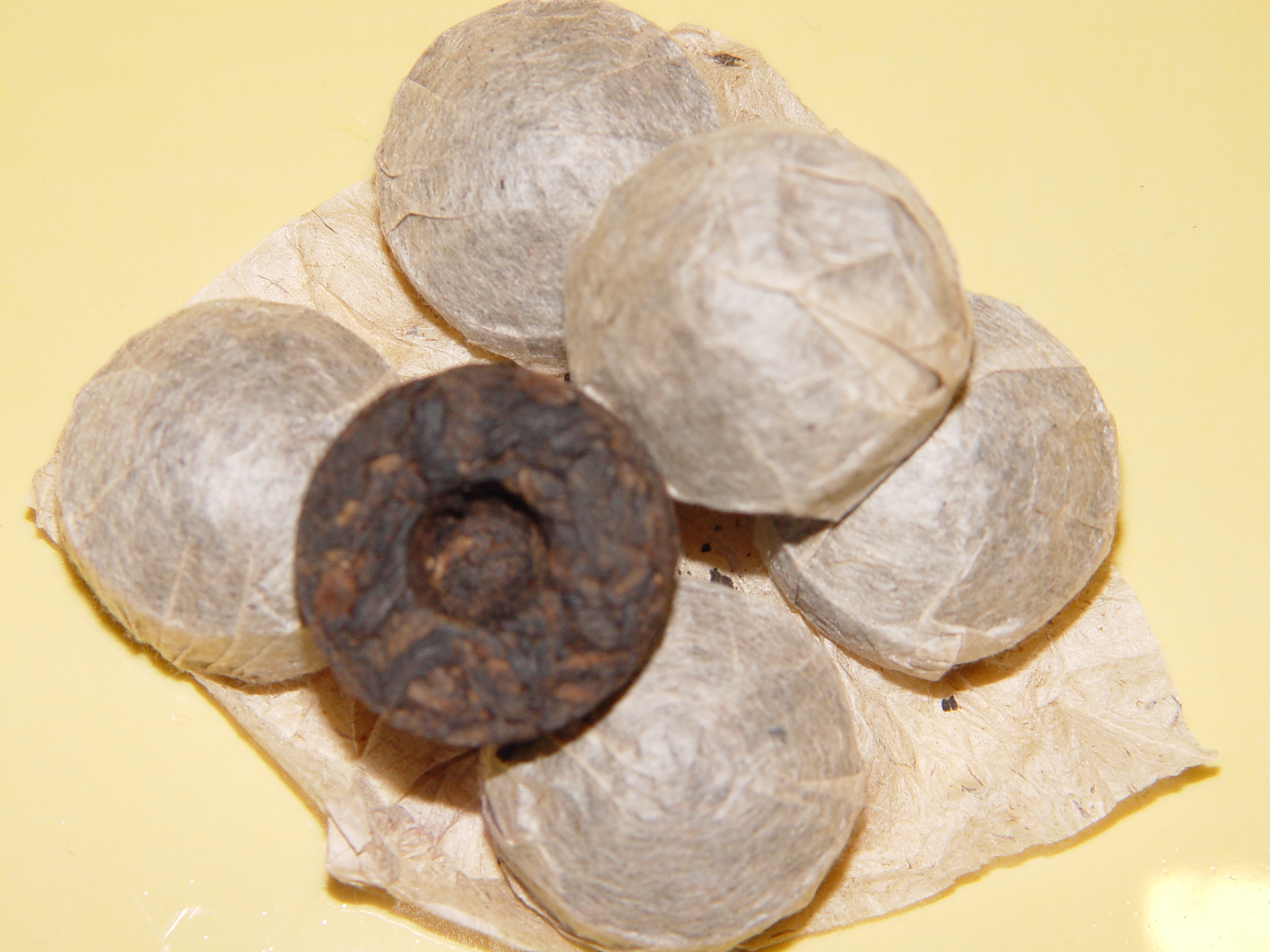 Mini Tuo Cha